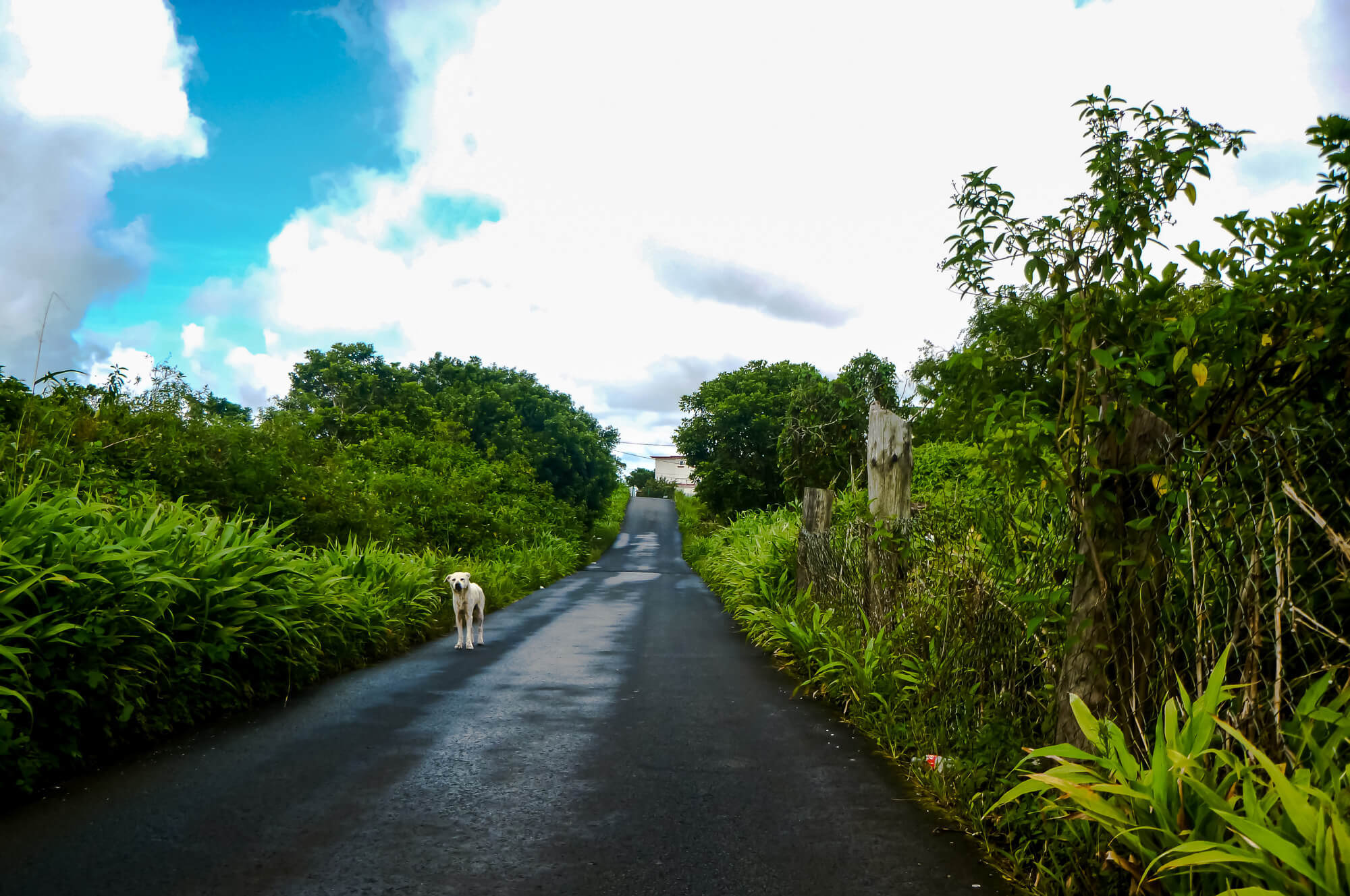 An empty street in Mauritius while waiting for public transport