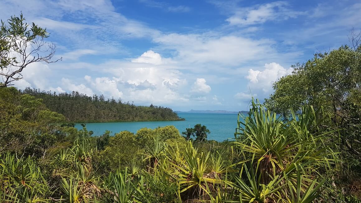 Bright blue sea popping in the middle of bright green Australian bush