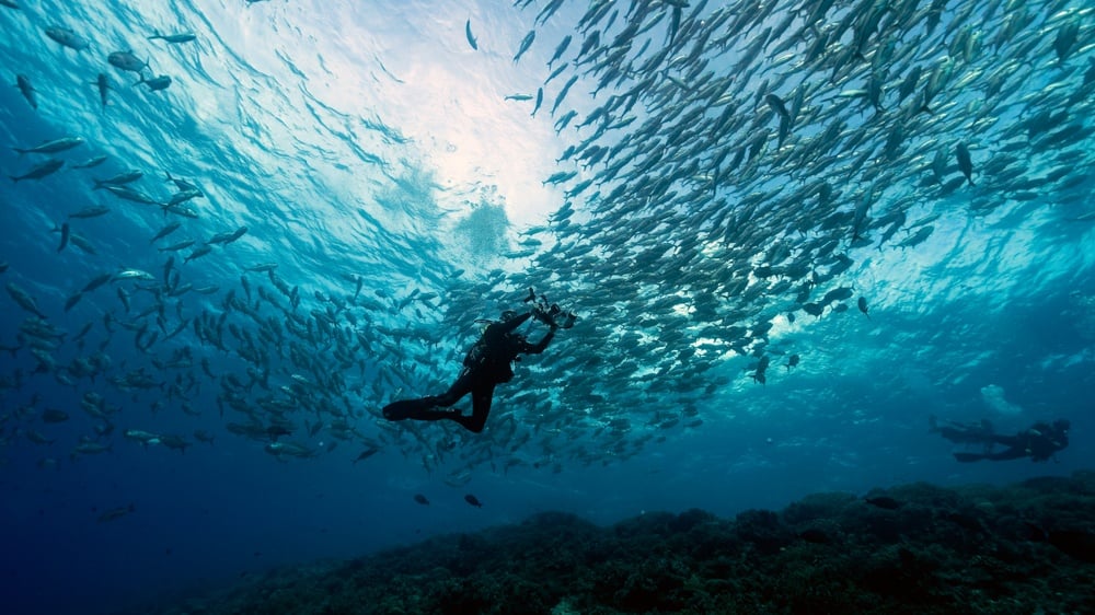 A scuba instructor at work while travelling