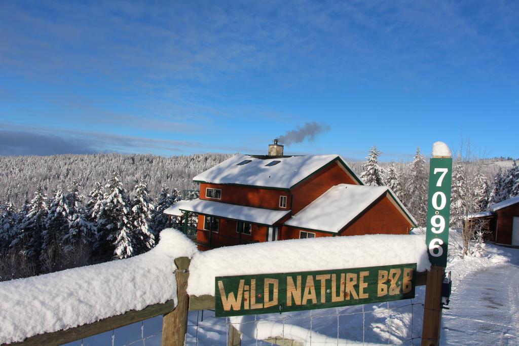 Best Hostel for Couples in Kelowna - Wild Nature B&B