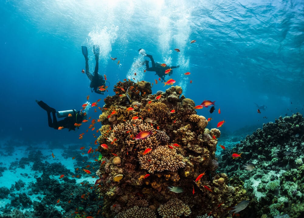 Three people scuba diving the Three Sisters site in Eilat's Red Sea