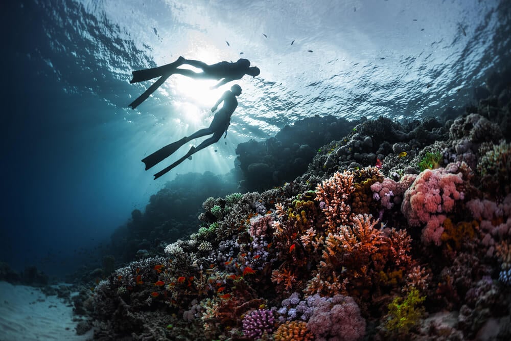 Scuba divers in French Polynesia ejoying their diving holiday