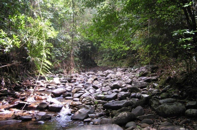 Bach Ma National Park