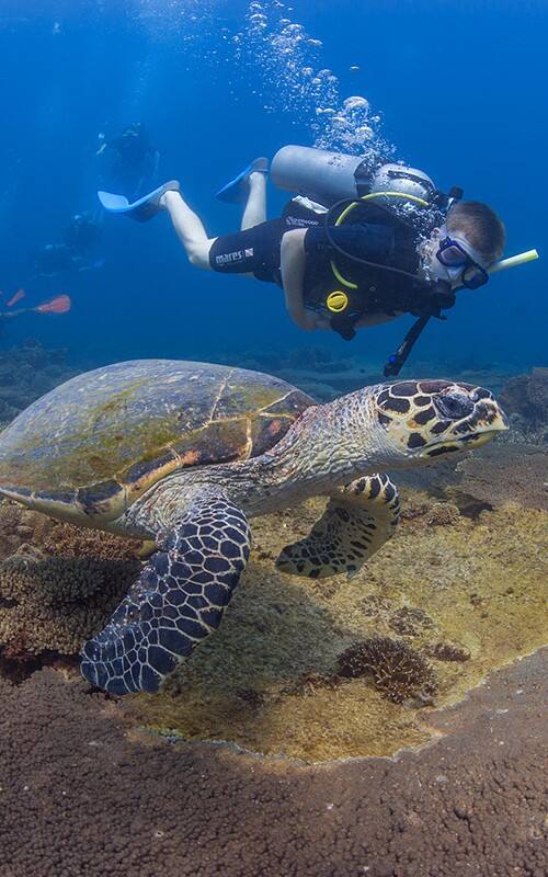 Kota Kinabalu scuba diving adventure