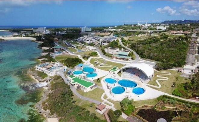 Okinawa Churaumi Aquarium