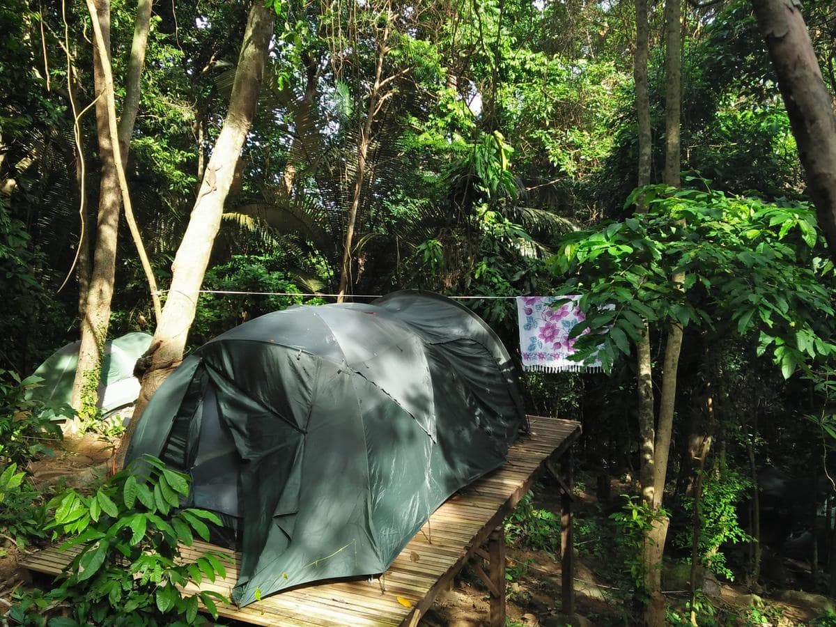 Orang Hutan Camping