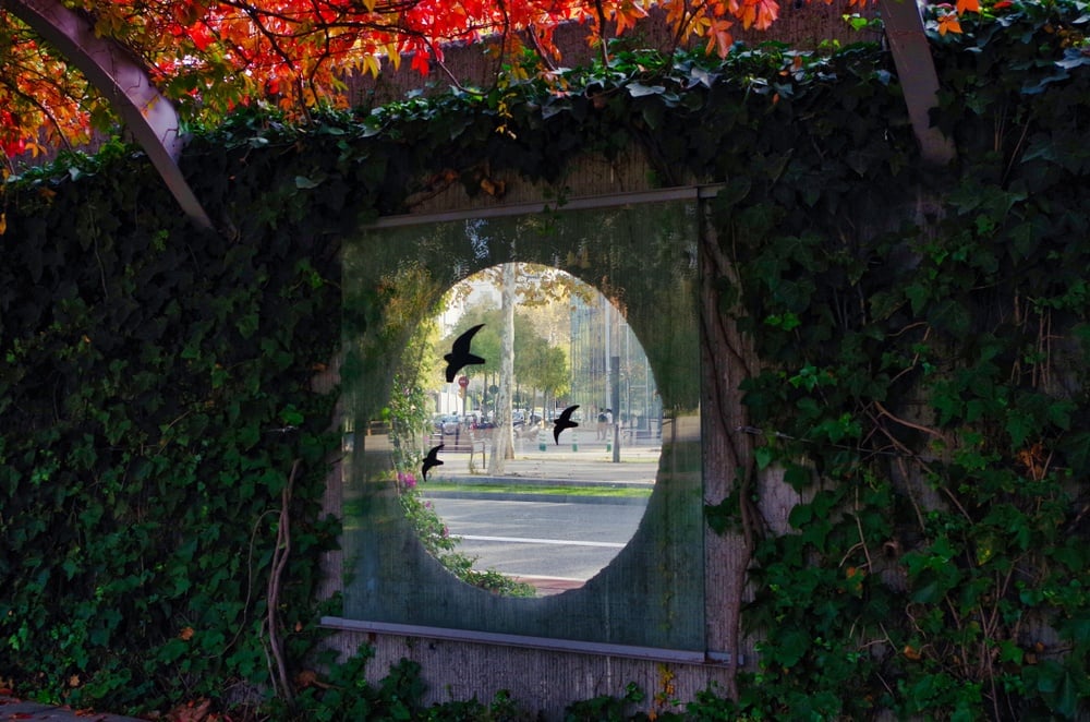 Parc del Poblenou, Barcelona