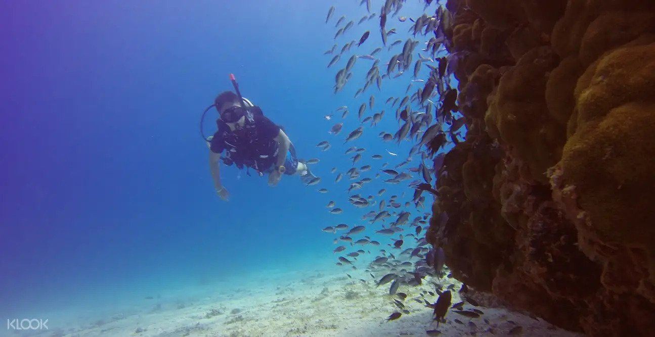 Redang Island diving