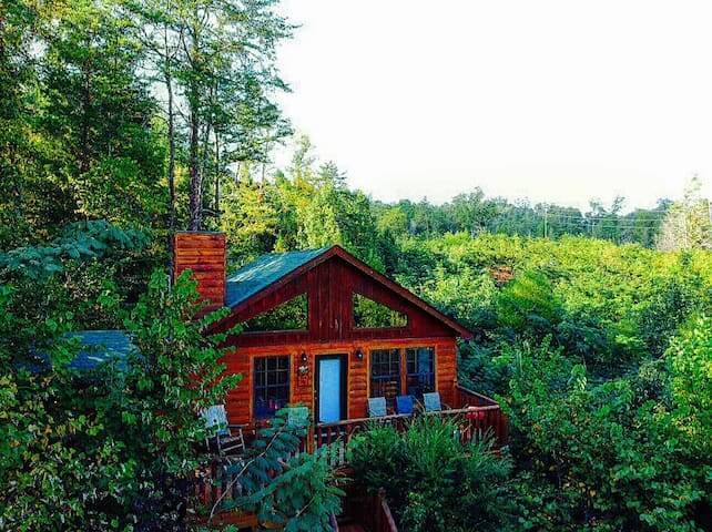 Secluded Cabin