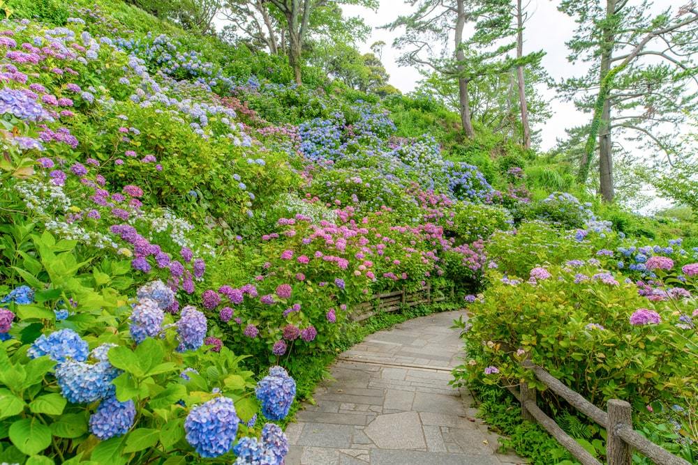 Shimoda Park Japan