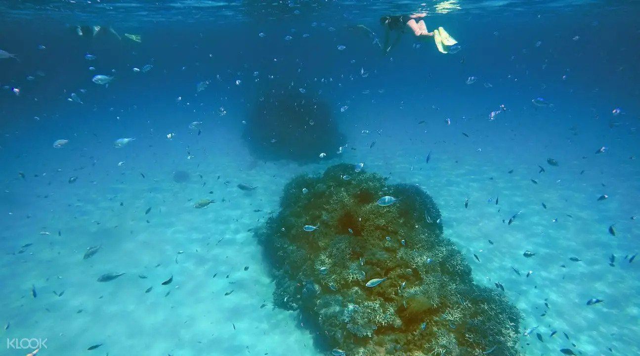 Snorkeling Kerama Tokashiki Island