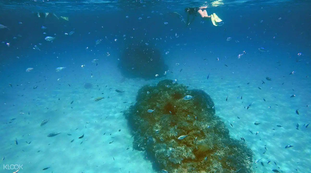 Snorkeling Kerama Tokashiki Island