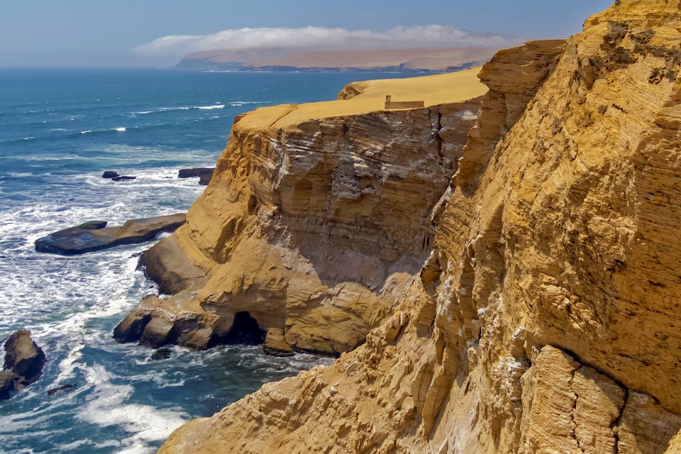 Paracas National Reserve Private Tour