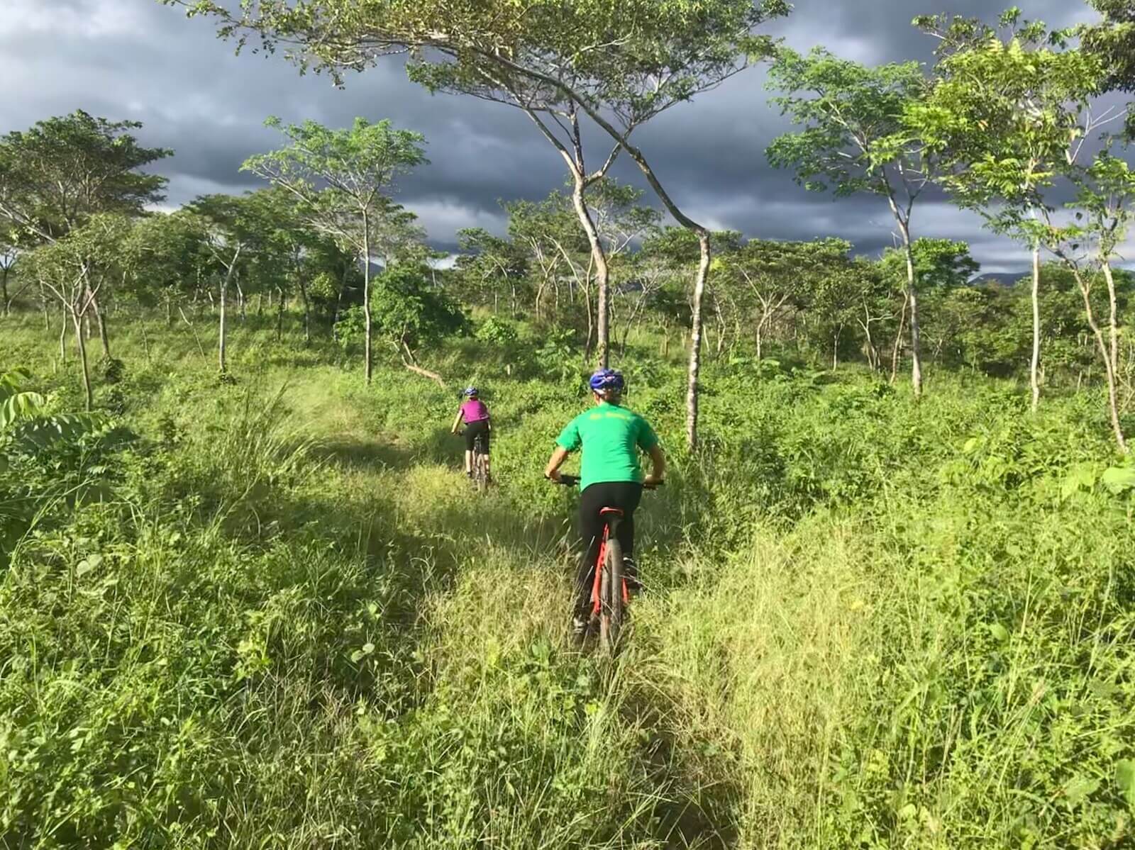 mountain biking