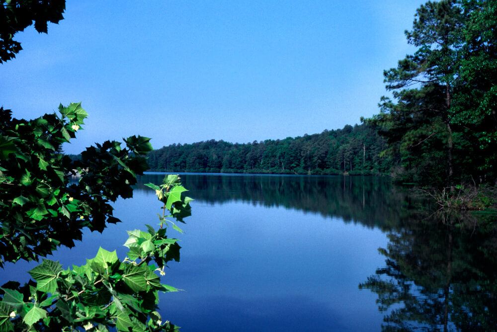 shelby lake gulf shores