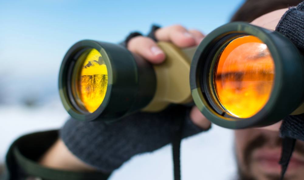 best travel binoculars for birding