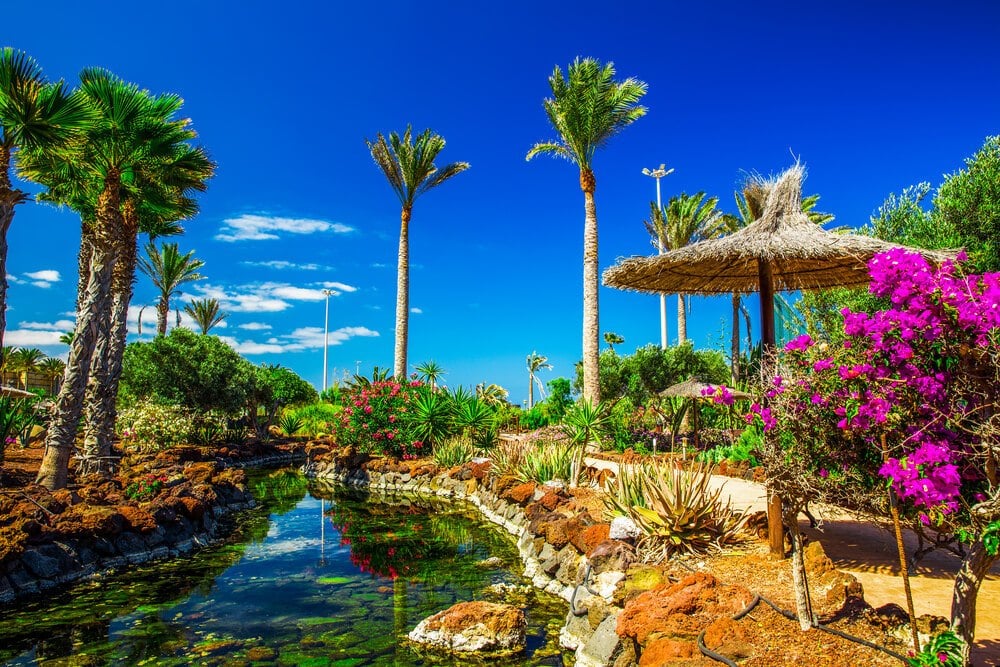 Beautiful view to tropical island resort garden on Fuerteventura