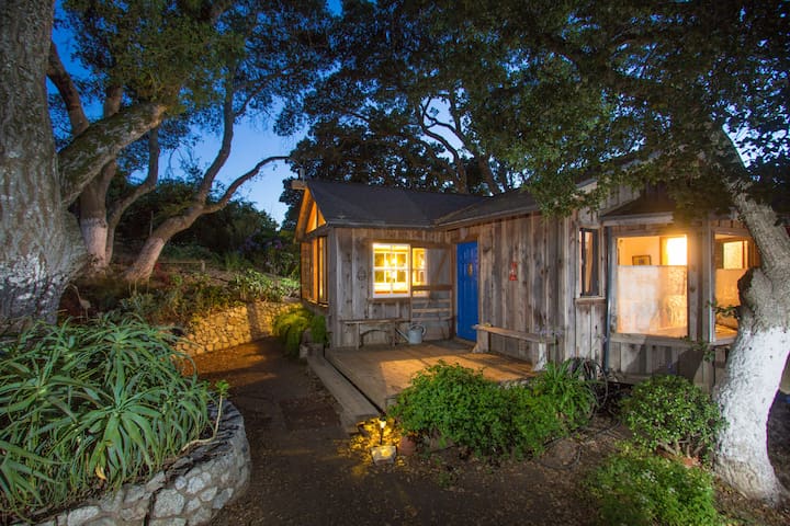 Goat farm with Ocean Views, California