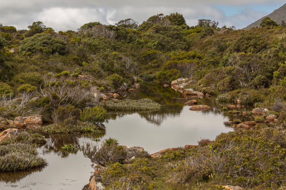 Hartz Mountain National Park