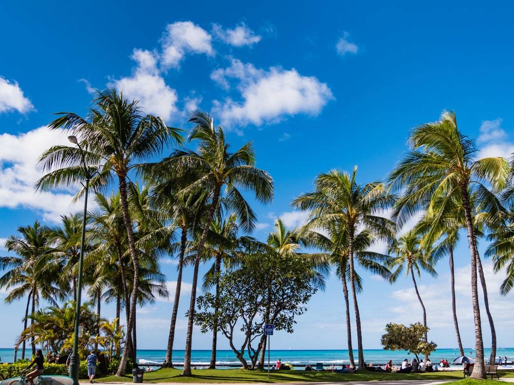 Kalakaua Avenue