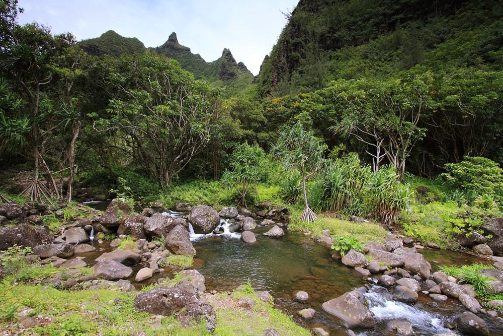 Limahuli Garden