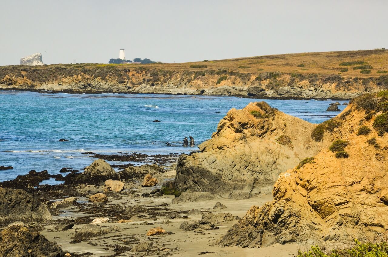 Point Lobos State Reserve Carmel by the Sea, California