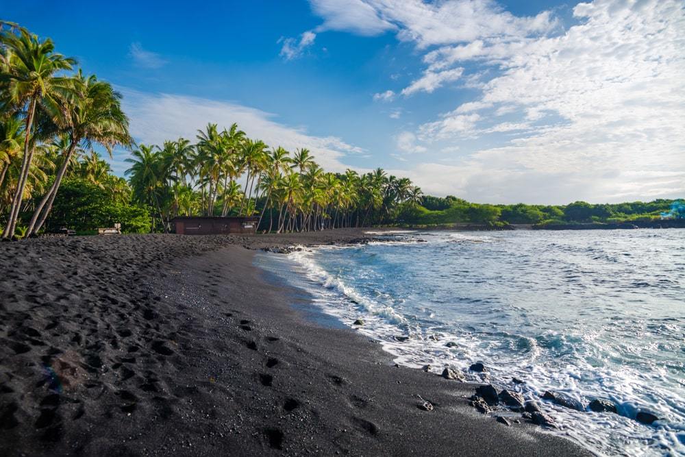 Punaluu Black Sand Beach Hawaii Island