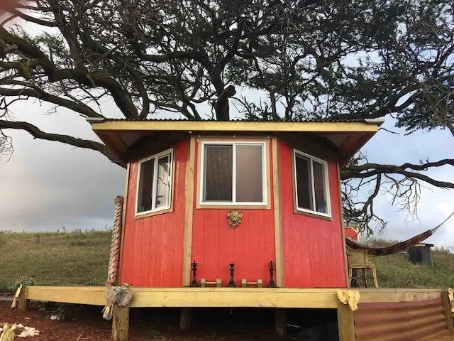 Rainbow Jaguar Treehouse