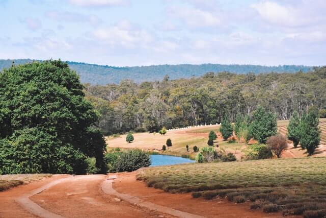 Insurance in Tasmania