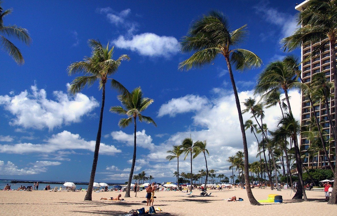 Waikiki Beach Oahu