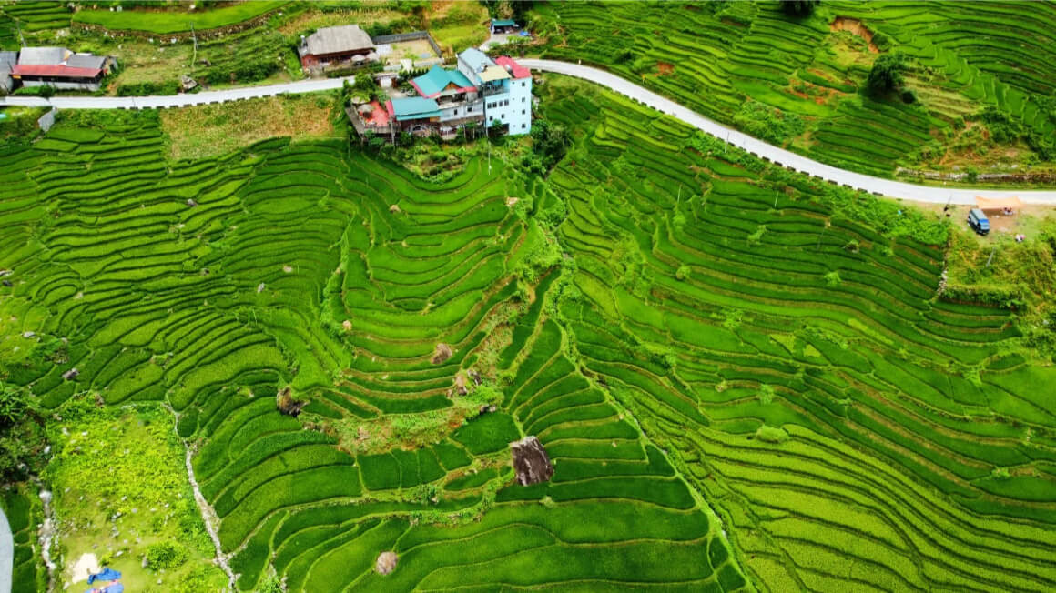 hoas homestay sapa