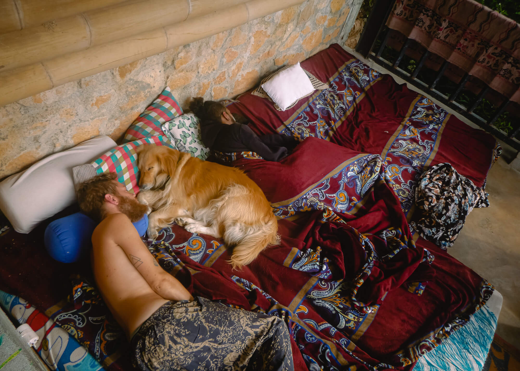 backpacker snuggles with a dog in a hostel in sri lanka