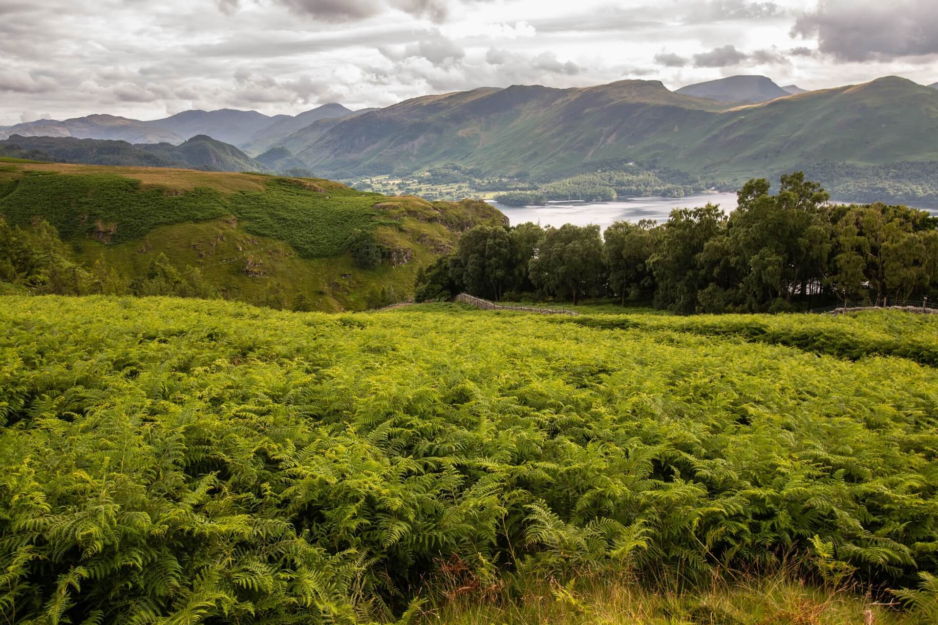 Derwentwater