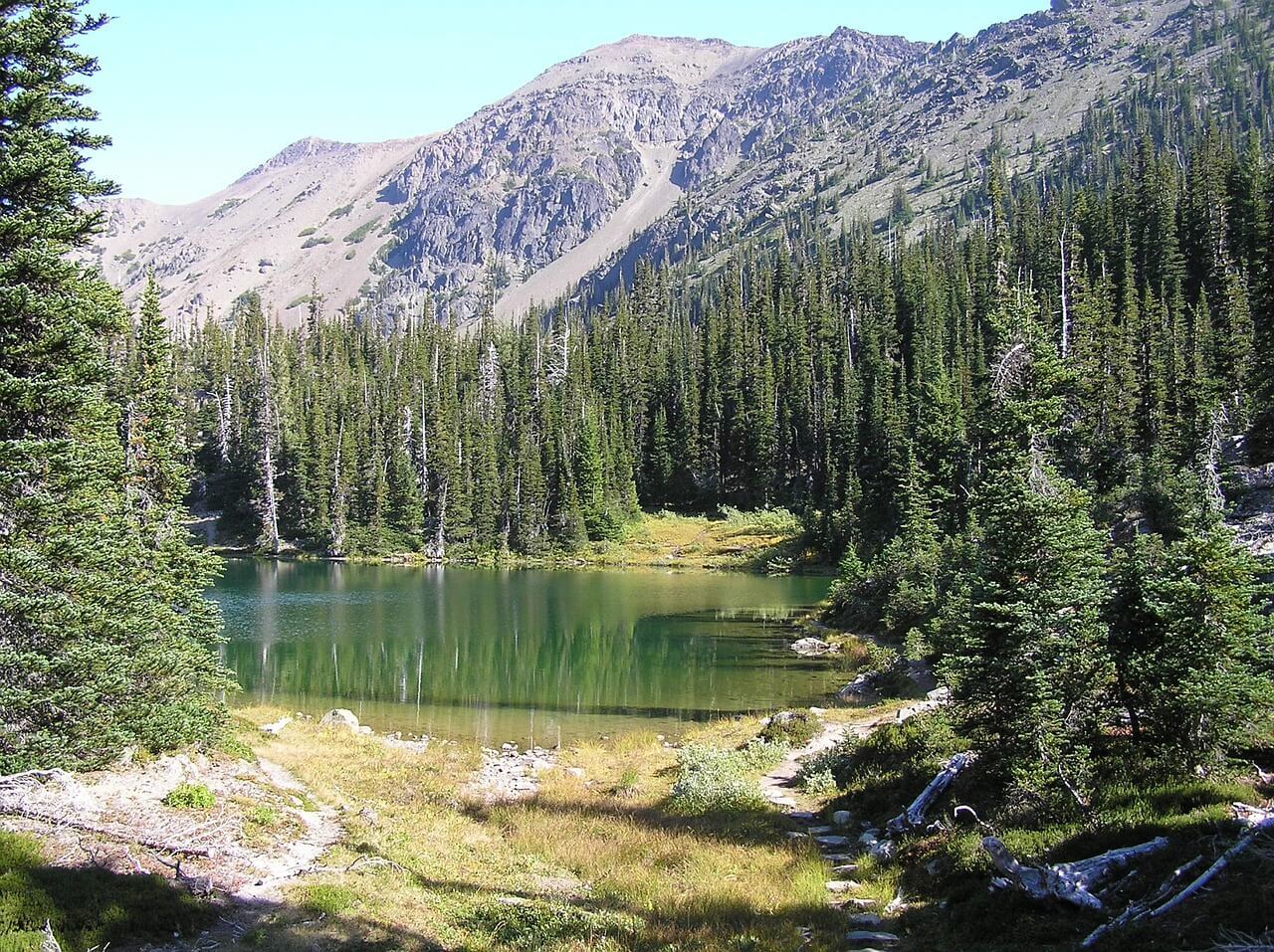 Lake Quinault Olympic National Park 2