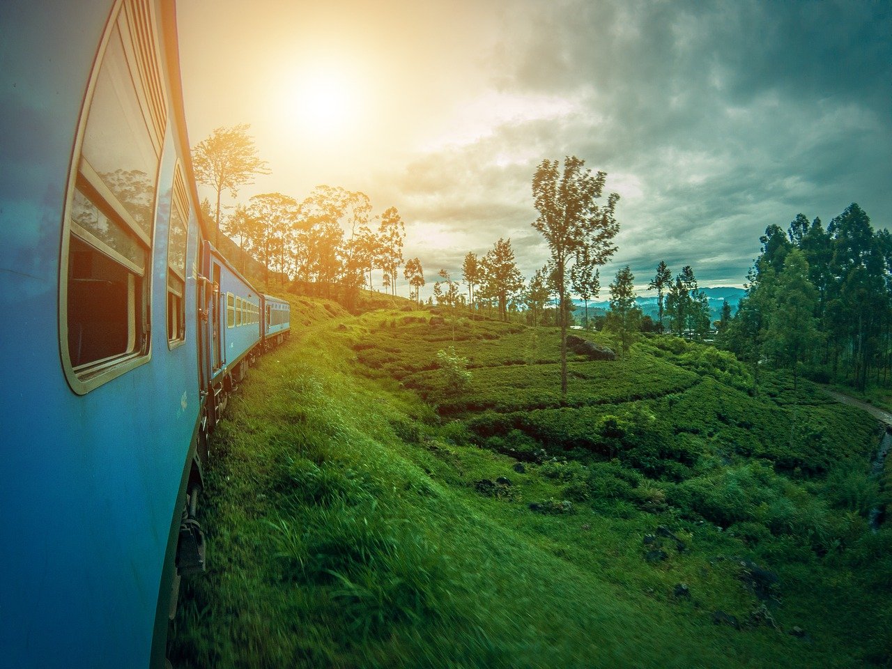 A train in Sri Lanka goes through very green jungle. 