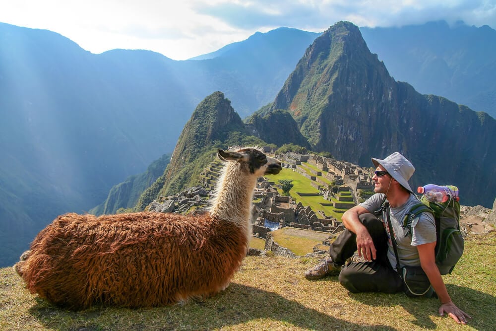 A llama with a responsible traveller at Machu Picchu in Peru