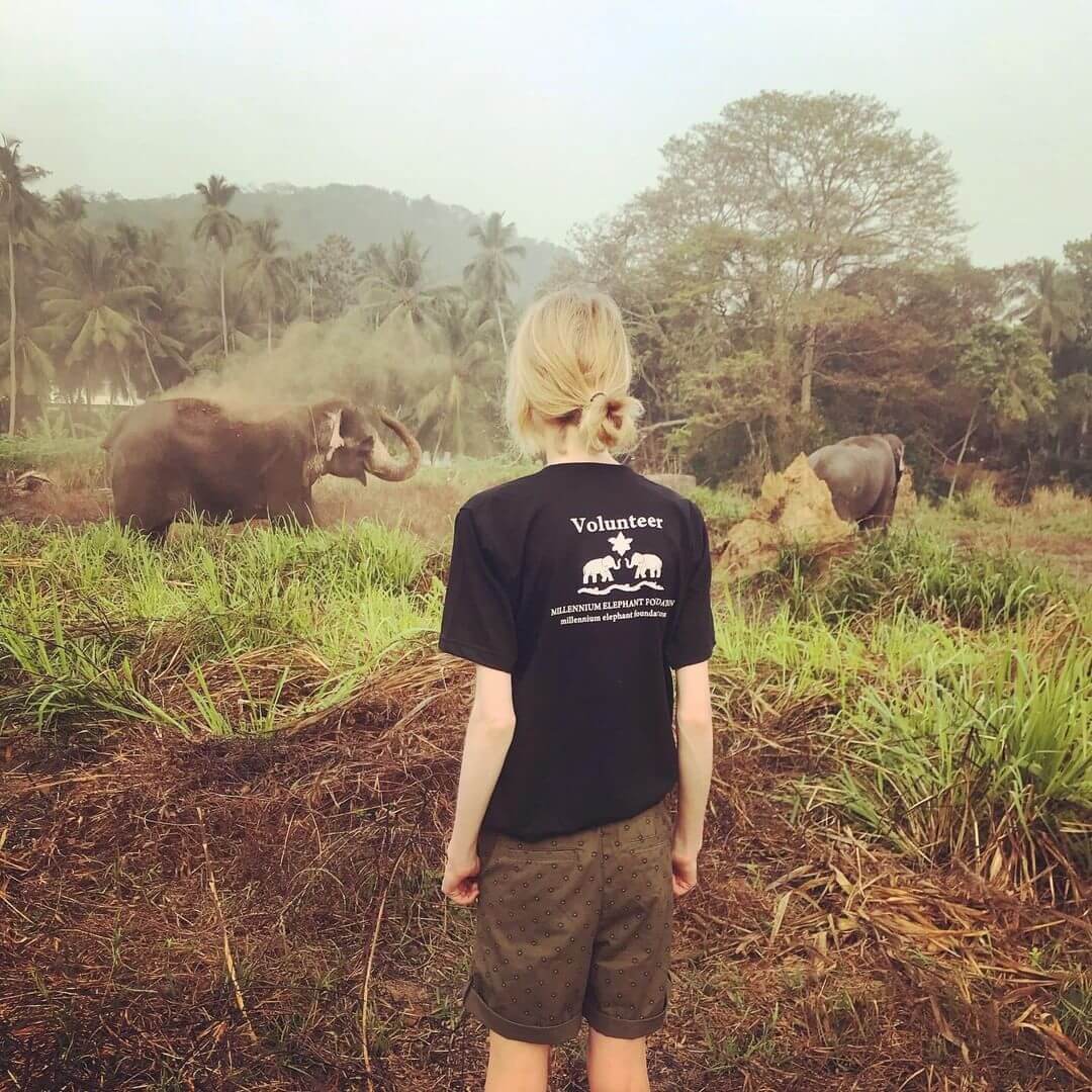 Tourist volunteering at an elephant orphanage in Sri Lanka