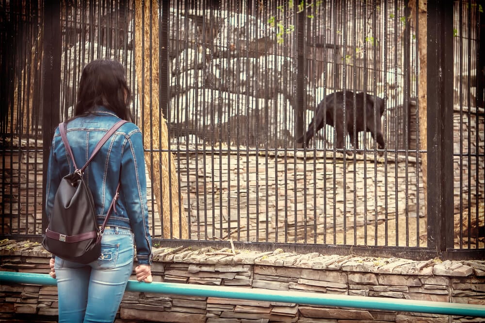 animal tourism