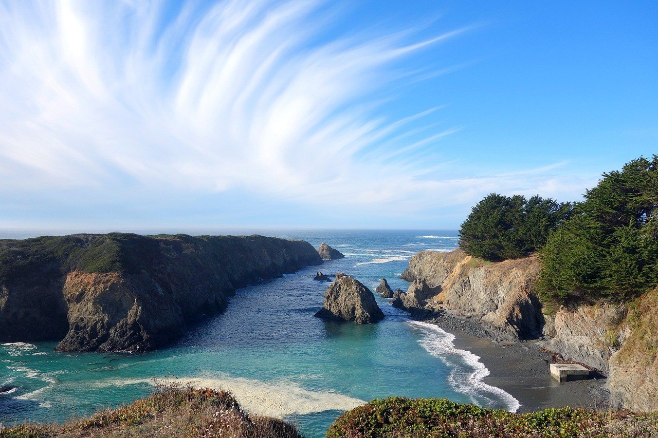 Mendocino, Redwoods