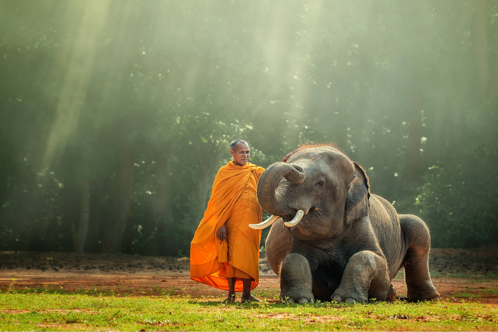 Monk at an elephant sanctuary in Thailand patting a baby