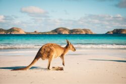 Is Australia Expensive?