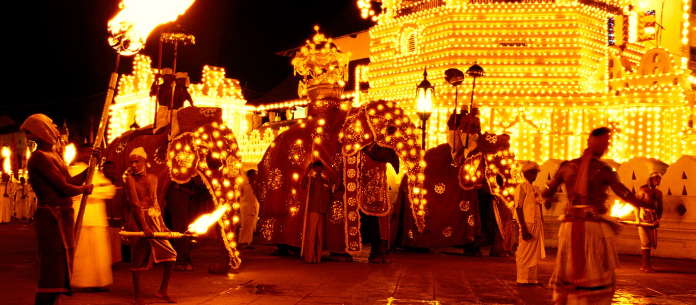 Elephant cruelty and riding at Perahera religious festival in Sri Lanka