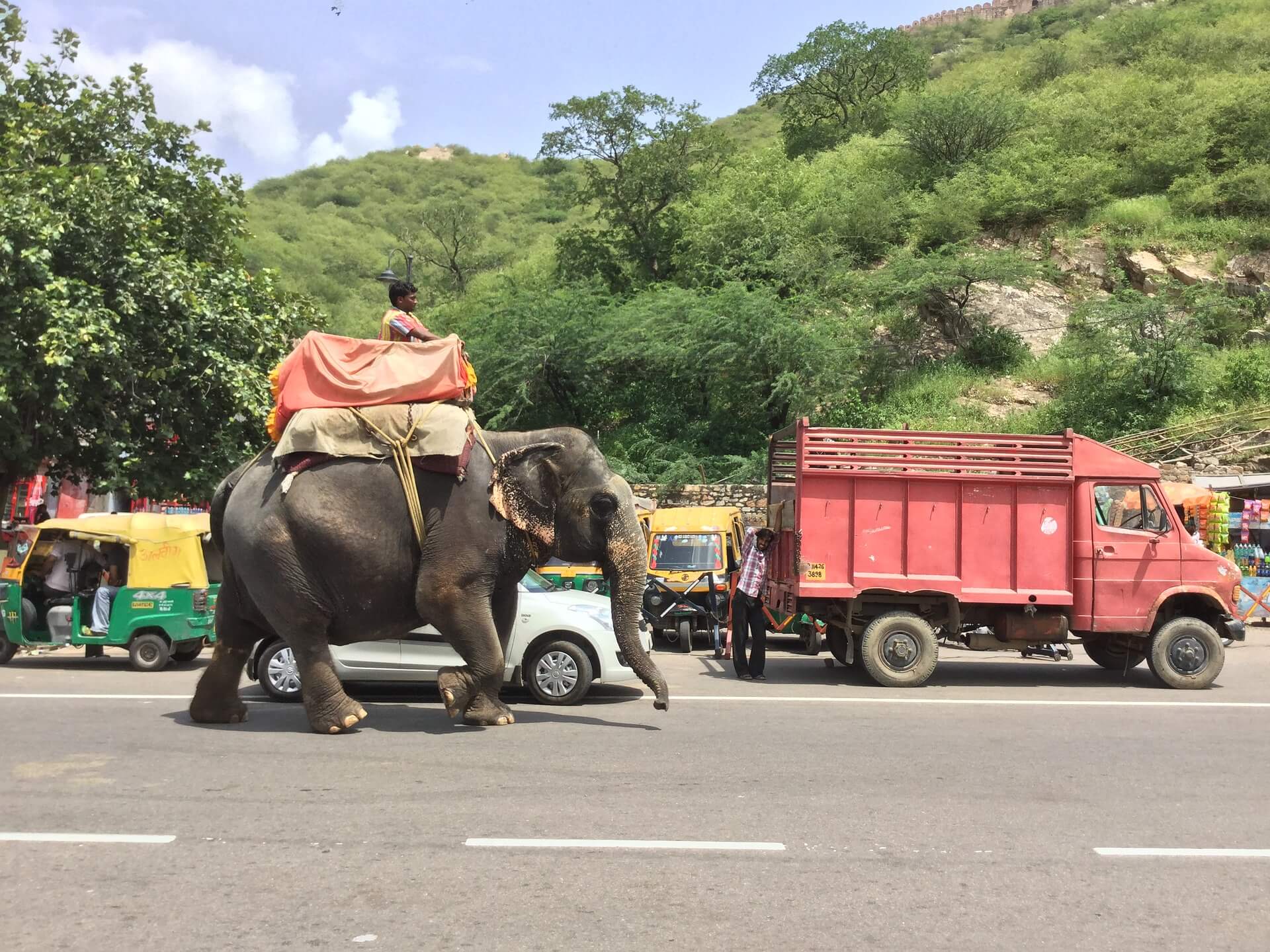 A man riding an elephant in India in a howdah