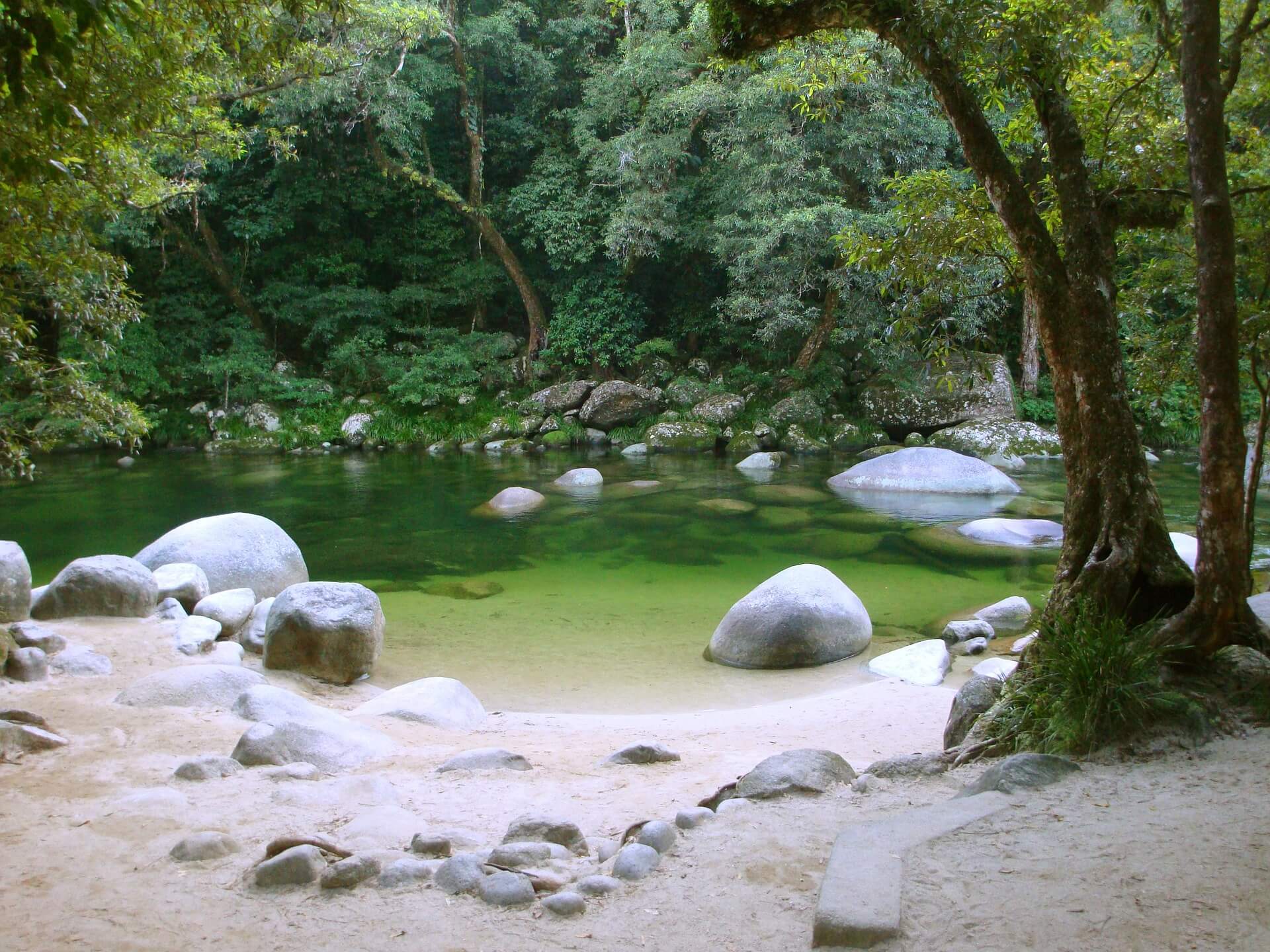 Mossman Gorge, Daintree Rainforest - one of Queensland's best national parks