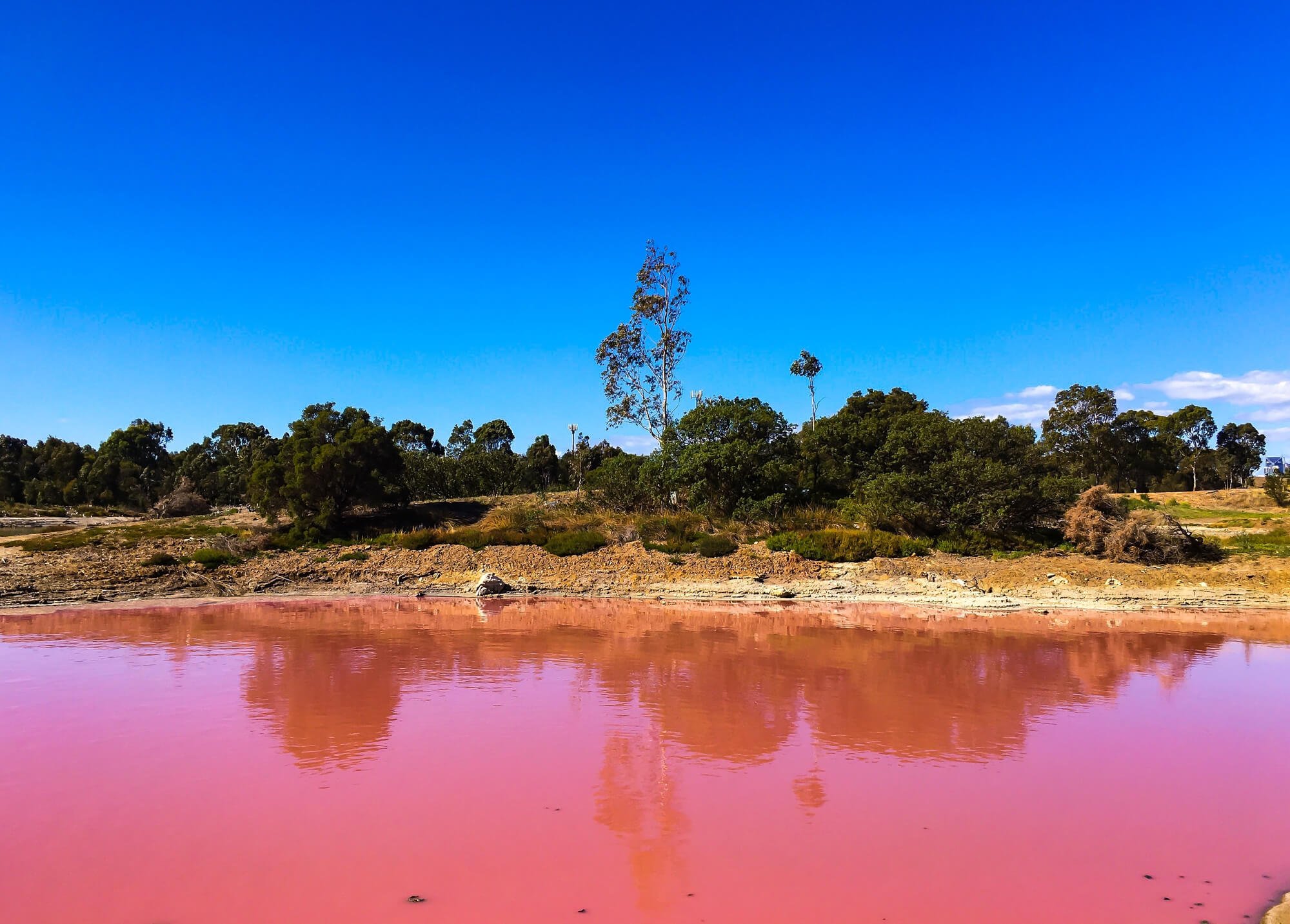 Lake Hillier - Western Australia's famous 'Pink Lake' 