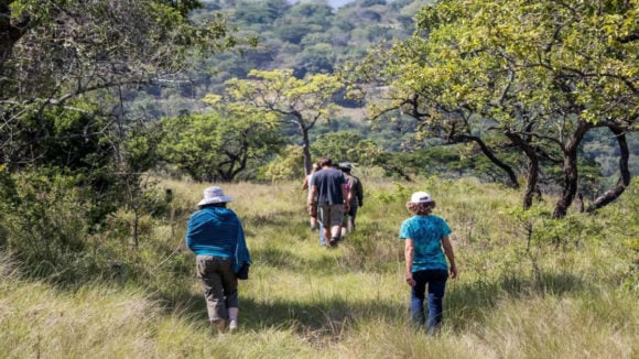 Hike and canoe with wildlife, Durban