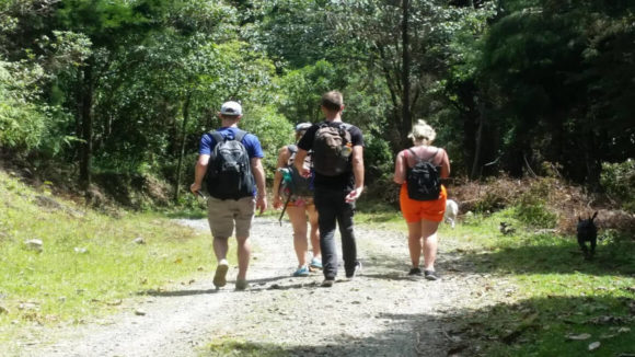 Hike in the Iconic Mountains of Medellin