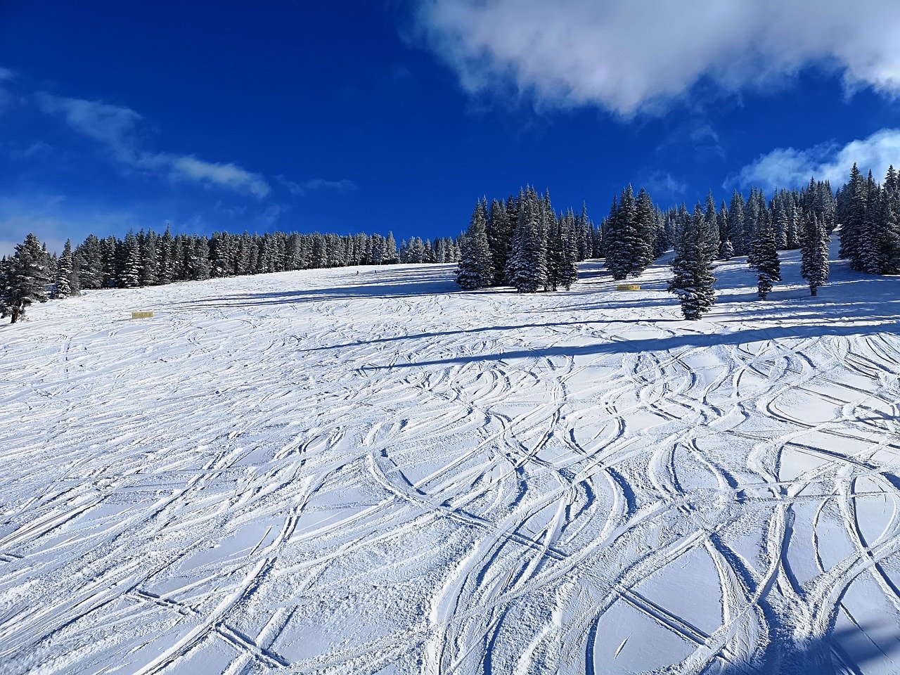 Lionshead, Vail