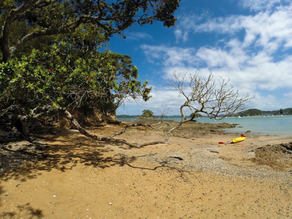 Paihia Auckland