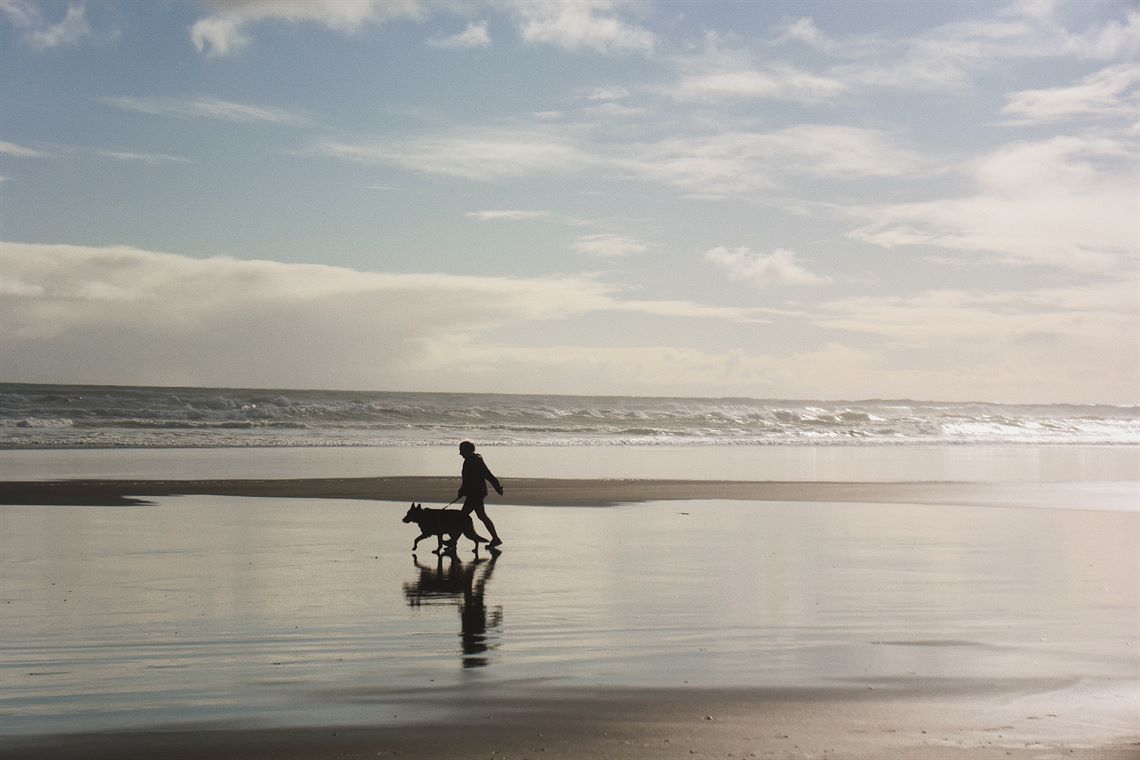 Piha Auckland